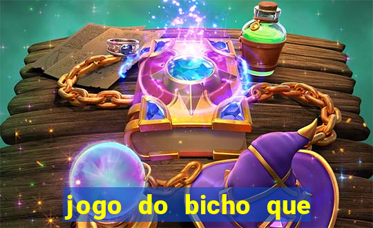 jogo do bicho que paga no pix